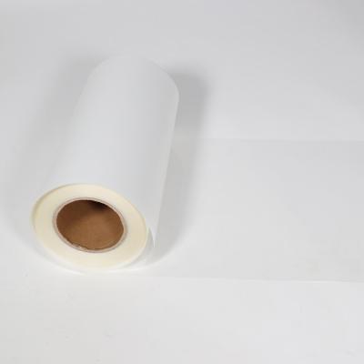 China High Difinition Heat Transfer Vinyl Rolls Printable PVC VINYL for sale