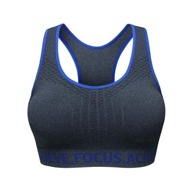 China Popular Minpai Fitness Breathable Quick Dry Sports Bra Female Sports Bra Yoga Sportswear Padded Seamless Women Push Up Fitness Bra Top for sale