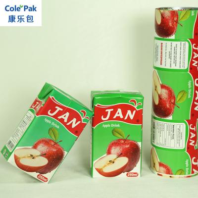 China High Quality Aseptic Beverage Wholesaler 250ml Apple Juice Pack for sale