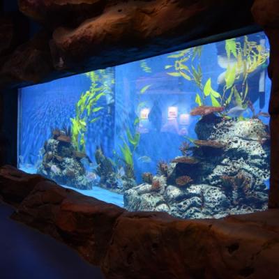 China Factory Supply Eco-friendly Custom Acrylic Viewing Wall With Clear Acrylic Panels Acrylic Window Fish Tank for sale