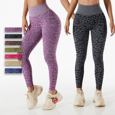 China Leopard Print Seamless High Waist Gym Yoga Breathable Fashionable Hot Selling Tight Gaiters for sale