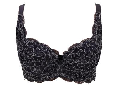 China 75D Exquisit Lace Overlay   Full Figured Bras  With  Contrast Color for sale