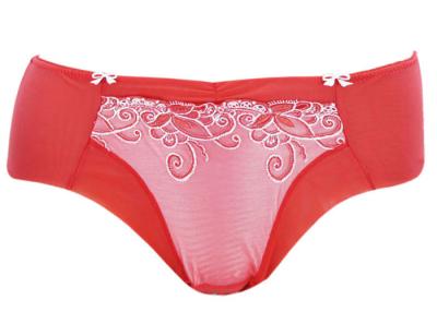 China Sexy Transparent Mesh Underwear Embroided Young Lady Panties with bow for sale