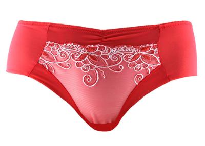 China Sexy Plus Size Embroidered Young Lady Bikini Briefs Mesh See Though Panty for sale