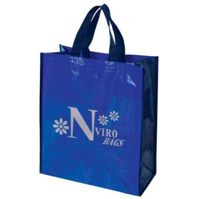 China 100% Factory Direct Eco-Friendly PP Woven Shopping Bags for sale