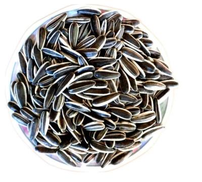 China Dried All Types Chinese Roasted Sunflower Seeds , Black Jumbo Sunflower Seeds for sale