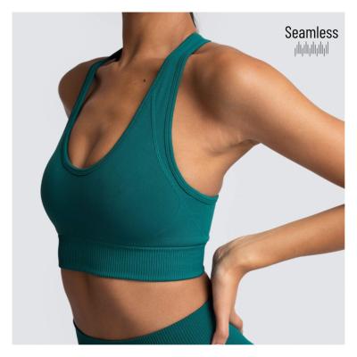 China Breathable High Impact Seamless Crop Top Fitness Sports Apparel Workout Sports Bra Padded for sale