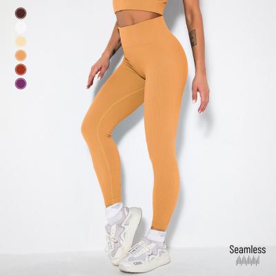 China Breathable Yoga Leggings For Women Seamless High Waist Nylon Leggings Ribbed Women Sport Leggings for sale