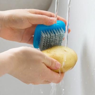 China Potato Manual Vegetable Fruit Radish Device Washing Device Mini Hand Fruit Vegetable Cleaning Brush Dish Cleaning Brush for sale