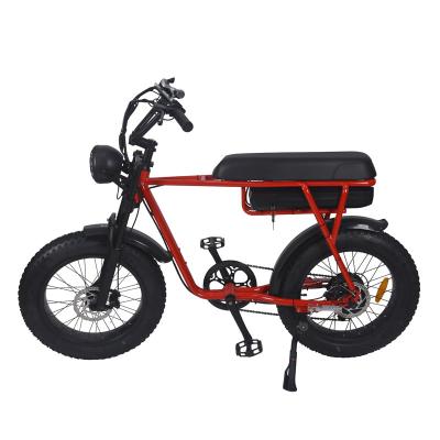 China Alloy Vintage Fat Tire 20 Inch 48V 7 Speed ​​Mountain Aluminum Ebike for sale