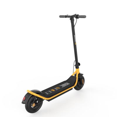 China Low price 36v 350 watt unisex hot powerful professional scooter latest factory model electric adults for sale