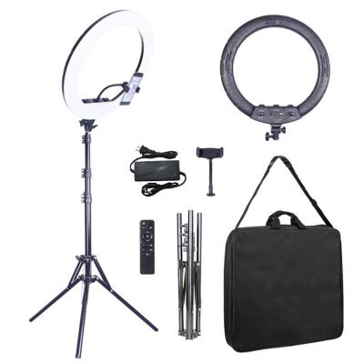 China Cheap Price Adjustable Shine LED Ring Light with Tripod Stand Cell Phone Holder for Live Stream /Makeup/YouTube Video for sale