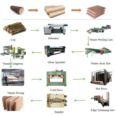 China Wooden Farms Plywood Production Line Machinery For Making Plywood for sale