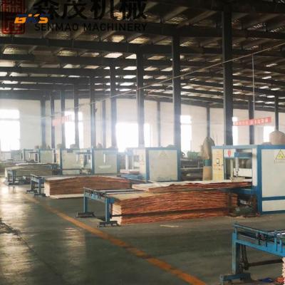 China Factory Automatic Wood Veneer Paving Line Assembling Core Veneer Machine Price for sale