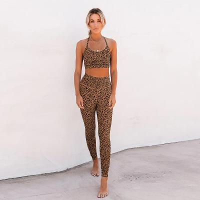 China Wholesale Fashion Fitness Wear Leopard Print Gym Clothing Women Gym Breathable Pants for sale