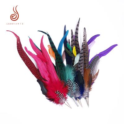 China Other hot selling pheasant rooster bead chicken feather accessories for hat diy for sale