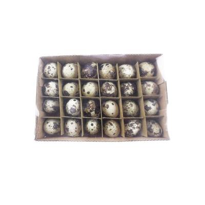 China China Factory Wholesale Cheap Decoration Quail Eggs Eggshell For Easter Decoration for sale