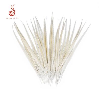 China Other high quality wholesale bleached long pheasant feather 60-65cm for decoration for sale