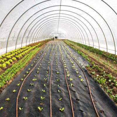 China Large Low Vegetable Mesh Tunnel Greenhouse Commercial Agriculture For Sale for sale