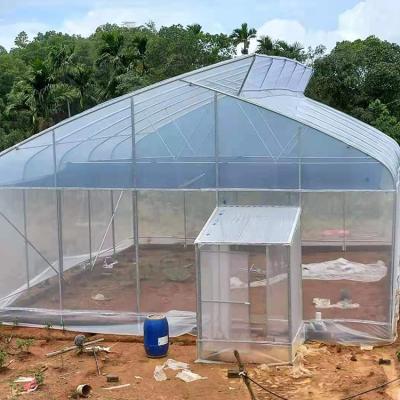 China Agriculture Vegetable Vegetable Sawtooth Greenhouse Single Tunnel Planting Vent Top Ventilation Sawtooth Greenhouse for sale