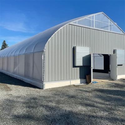 China Light Deprivation Automated Single Span Tunnel Automated Greenhouse Medical Growing Light Deprivation Greenhouse With Blackout System for sale