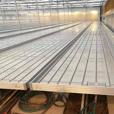 China Commercial Greenhouse Assembly Movable Crib Easy Bed Benches Drop and Sink Hydroponic Bench Rolling Trellis for sale