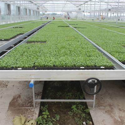 China Plant Movable Plastic Nursery Growing Rolling Saw Bench Greenhouse Rolling Bench System for sale