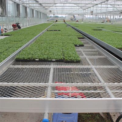 China Movable Plant Seedling Nursery Equipment Movable Grow Island Bench Construction Rolling Porcelain for sale