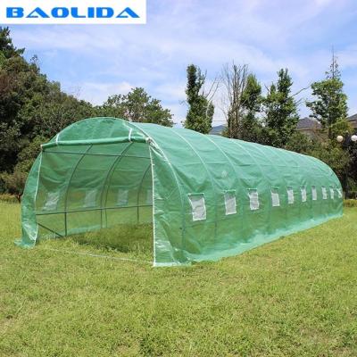 China Easy Mini DIY Commercial Assembly Plastic Thrown Greenhouse Tent Ready To Ship for sale