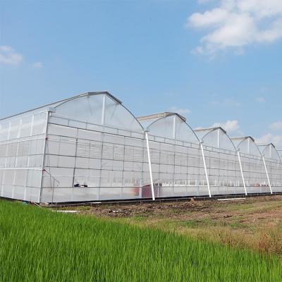 China High PE Tunnel Green House Prefab Houses Prefab Plastic Greenhouse for sale