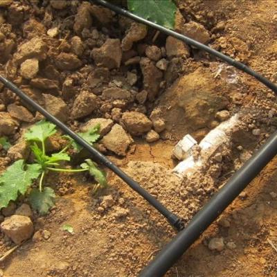 China LOW COST Agricultural Irrigation System Drip Hose And Sprinkler Head for sale