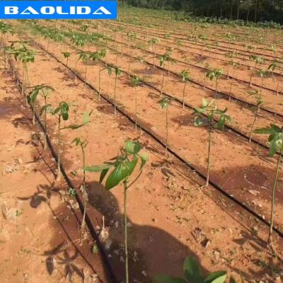 China Cheap cheap drip irrigation system for greenhouse for sale