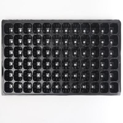 China Mirogreen Farms 32 50 72 105 128 200 PET 80g/pc 21 Cells Seed Plant Germination Vegetables Horticulture Tray Garden Seedling Nursery Trays for sale