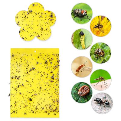 China Hot Sales Disposable Fly Trap Mosquito Sticky Yellow Housefly Insect Stick Traps Bilateral Sticks for sale