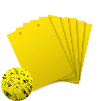 China Quality Disposable Guaranteed Yellow Degradable Insect Trap Fly Killer For Control Pest for sale