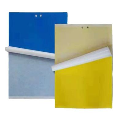 China Disposable Garden Insect Traps Double Paper Sticky Hatch Paper Insect Glue Trap Yellow Blue for sale