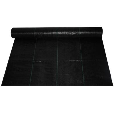 China 100% PP Agro Plastic Anti Weed Mat Greenhouse Garden Greenhouse Ground Cover Cloth Weed Barrier Mat for sale