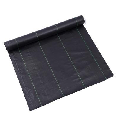 China Black Color 100% Pp Weed Mat Weed Barriers Mat Pp Weed Mat Greenhouse Greenhouse Cover Fabric Landscape Cloth Weed Barriers for sale