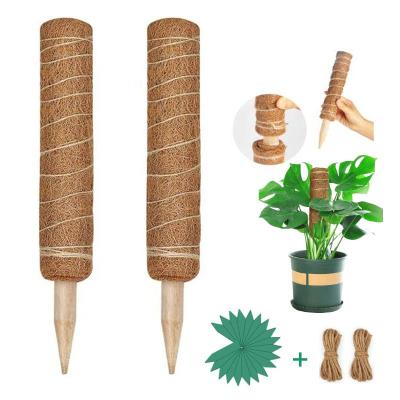 China Wooden Moss Stick Totem Pole Coco Coir Coconut Fiber Pole Plant Support Extension Climbing Indoor Plants Climbing Plants for sale