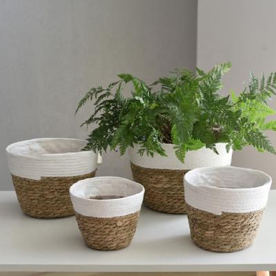 China New Design Eco-friendly Indoor Garden Flowerpot Basket Rattan Flower Plant Rattan Hanging Pot for sale