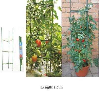 China Durable PE Plastic Coated Plant Support Plant Trellis Plant Stakes for sale