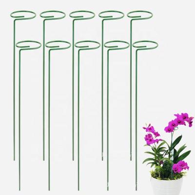 China Simple Ring Cage Garden Plant Support Durable Durable Garden Stem Support for Flower, Rose, Tomatoes for sale