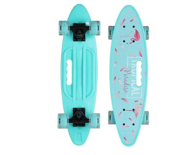 China 22 InchSkate Factory Wholesale Custom Board PU Youth Flash Wheel Fish Skateboard For Youth for sale