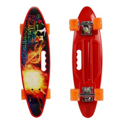 China Hot Selling Custom Youth 22 Inch Fashion Skateboard Pu Wheel Fish Skate Board For Adult for sale