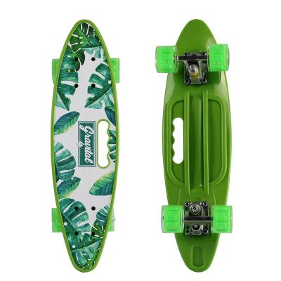 China Youth Factory Supply Custom PU Wheel 22 Inch Skateboard Fashion Fish Skate Board For Youth for sale