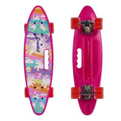 China Factory Supply 22 Inch Fashion PU Wheel Fish Skateboard Custom Youth Skateboard For Youth for sale