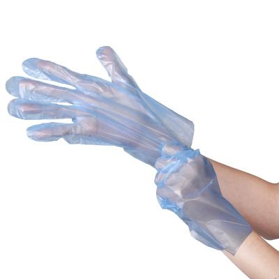 China Plain PE Hanging Plastic Gloves Or Microgroove New Design Easy Fit Heaven And Earth Mouth Header For Food for sale