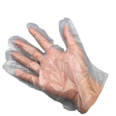 China Large Size Microgroove 10000 x Plain Or Polythene Plastic Gloves Cleaning Prepare Food Glove for sale