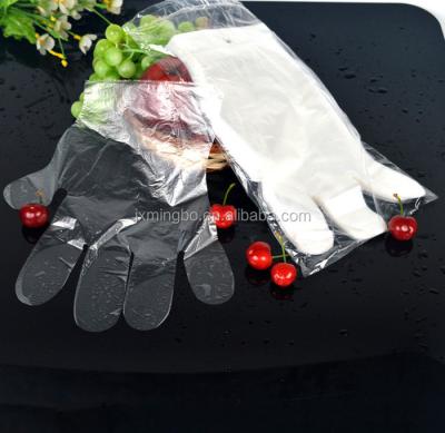 China Poly Plain or Microgroove Food Guard Clear Plastic HDPE Gloves for sale