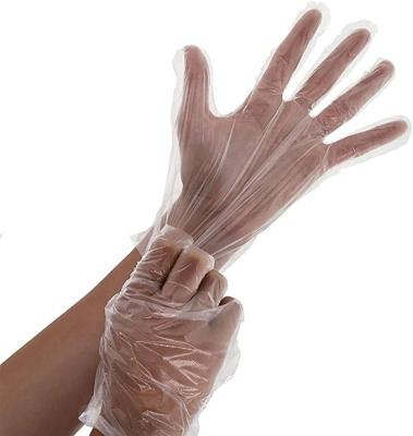 China Microgroove Multi Function Plain Or PE Transparent Disposable Hair Dye Household Food Thickened Gloves for sale